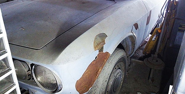 ジュリアの一例